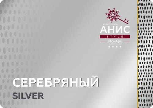 Серебряный уровень